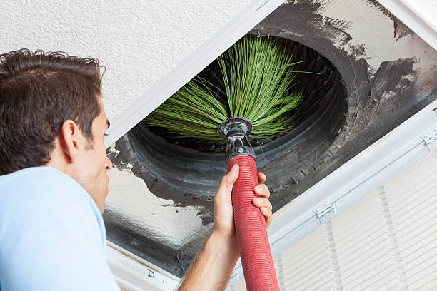 Best Local Air Duct Cleaning Services  in Minot Af, ND