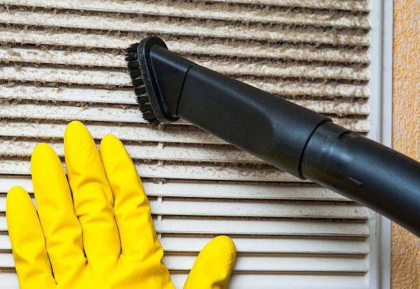 Best Air Duct Mold Removal  in Minot Af, ND